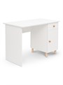 Письменный стол Treben с ящиком и дверцей 03828