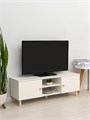 ТВ Тумба Treben с 2-мя дверцами и 2-мя полками 03856