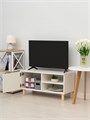 ТВ Тумба Treben с дверцей и 2-мя полками 03859